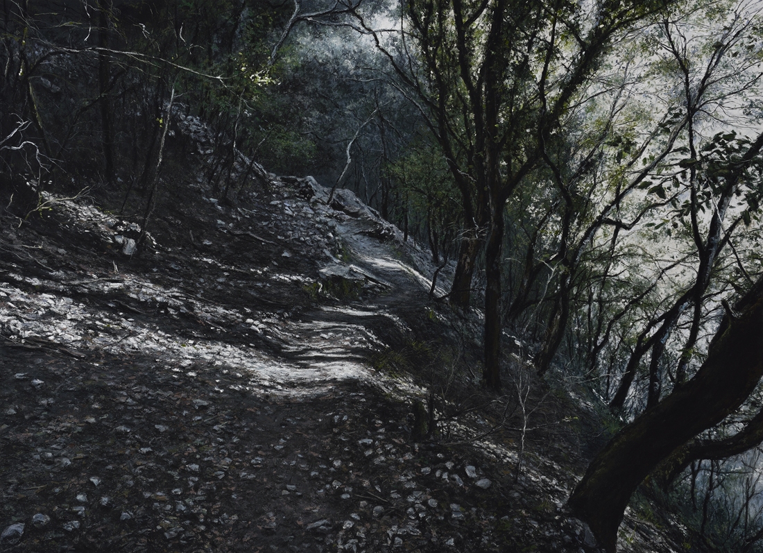 Dépt 07/Bois de Pont d'Arc